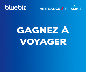 Air France Banniere Bluebiz 300 250