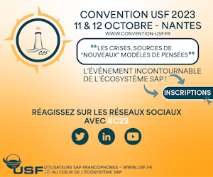 Convention USF 300x250